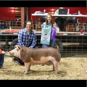 Meet your Posher, Mary